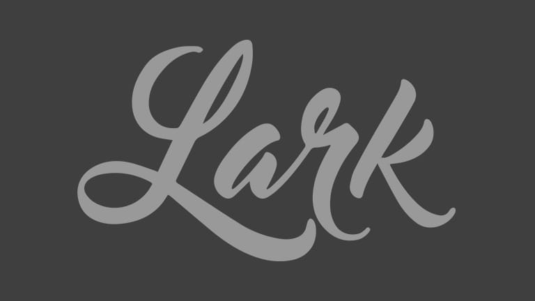 Lark Placeholder