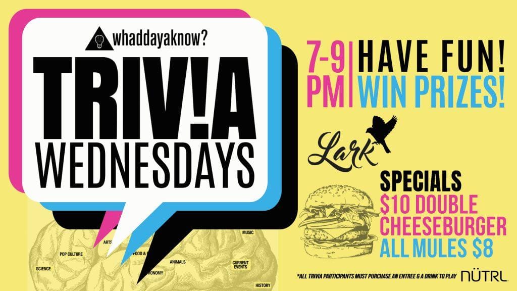 Lark TriviaWedsGeneral ForScreens&web