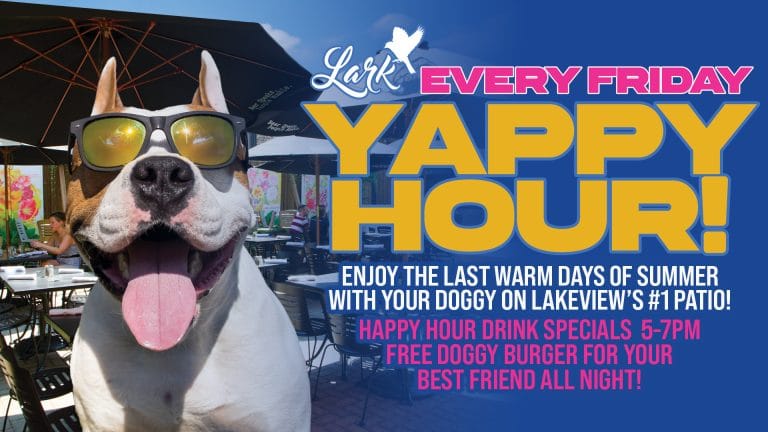 Lark YappyHour 1920x1080ForTvScreens