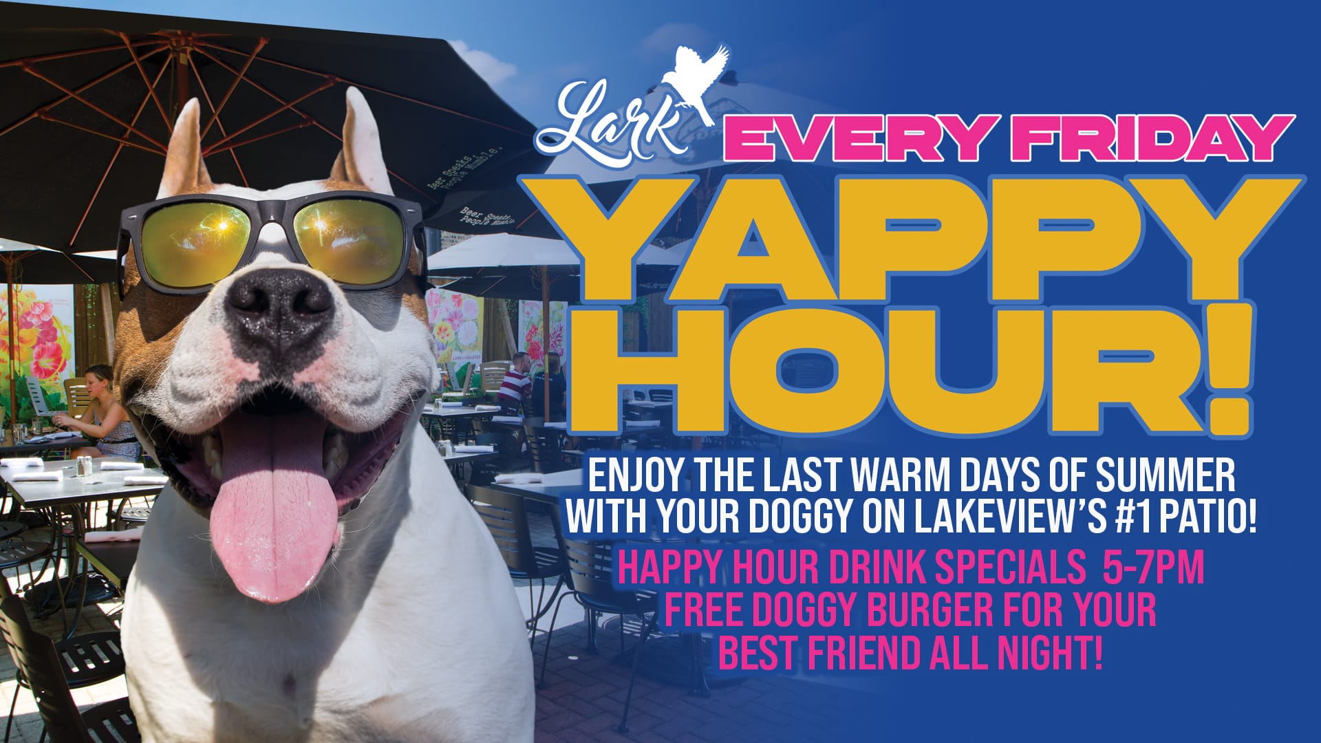 Lark YappyHour 1920x1080ForTvScreens